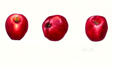 Red Apples.