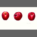 Red_Apples.